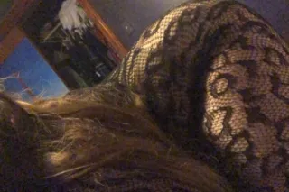 I can suck a golf ball through... - Image 3