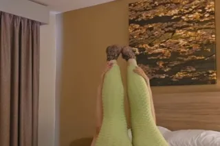 6 foot 250 pounds german and b... - Image 1